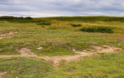 Buffalo gathering basin and drive lanes in Buffalo Jump WHS