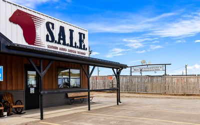 Southern Alberta Livestock Exchange (S.A.L.E.) building at the S.A.L.E.