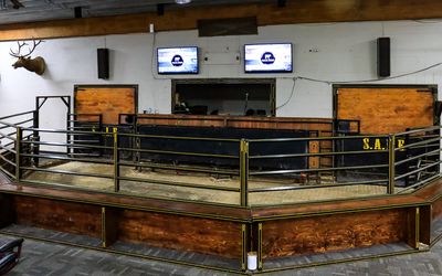 Southern Alberta Livestock Exchange (S.A.L.E.)  Alberta, Canada 