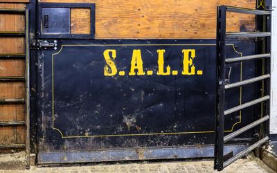 Southern Alberta Livestock Exchange (S.A.L.E.)  at the S.A.L.E.