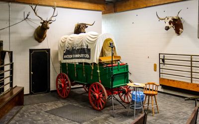 Southern Alberta Livestock Exchange (S.A.L.E.) – Alberta, Canada