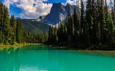 Mount Burgess (8,527 ft) above Emerald Lake in Yoho NP