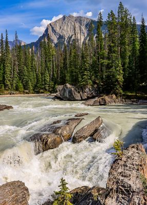 Canadian Rocky Mountain peak viewed over the Kicking Horse River in Yoho NP