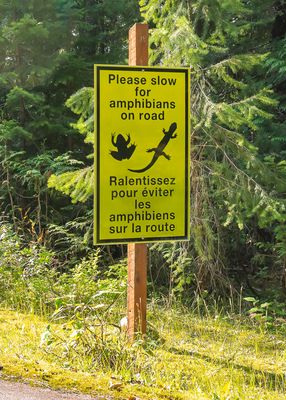 Sign along the Meadows in the Sky Parkway in Mt Revelstoke NP