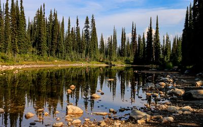 Trees reflected in Balsam Lake in the summit area in Mt Revelstoke NP