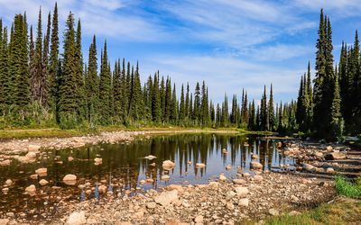 Balsam Lake along the Balsam Lake Trail in the summit area in Mt Revelstoke NP