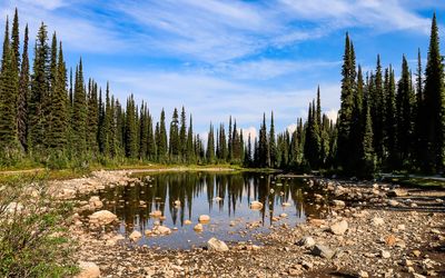 Mount Revelstoke National Park  British Columbia, Canada