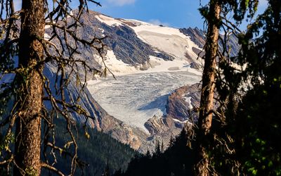 Asulkan Glacier as seen through the trees in Glacier NP