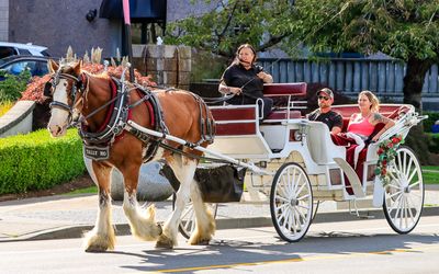 Horse drawn carriage on the streets of Victoria BC