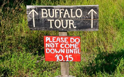Tour sign to the Rocky Mountain Buffalo Ranch 