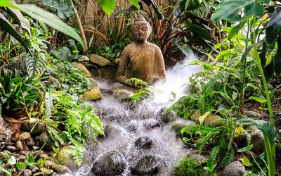 Waterfall at the Victoria Butterfly Gardens  