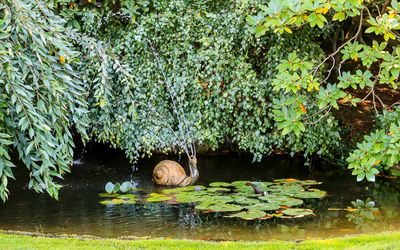 Snail fountain in a pond in Butchart Gardens