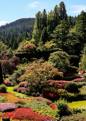 View across the Sunken Garden in Butchart Gardens