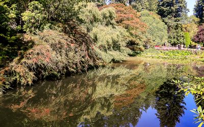 Trees reflected in a pond in the Sunken Garden in Butchart Gardens