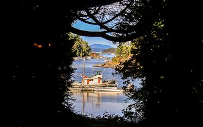 Looking through a window in the bushes in Butchart Gardens