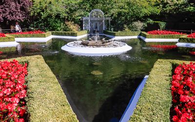 The Star Pond in Butchart Gardens