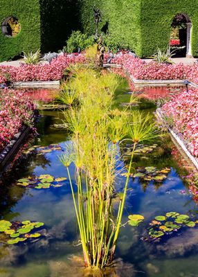 Long pond in the Italian Garden in Butchart Gardens