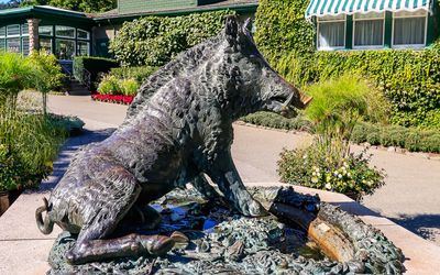 Wild boar statue in Butchart Gardens