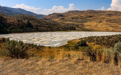 Spotted Lake, sacred site of the Syilix Okanagan Nation near the NkMip Desert Cultural Centre
