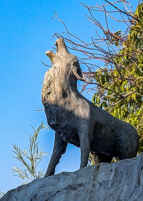 Coyote figure, tasked to guide and protect the People, near the NkMip Desert Cultural Centre