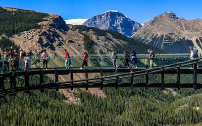 People cross the Jasper Skywalk with the Columbia Icefield in the distance in Jasper National Park