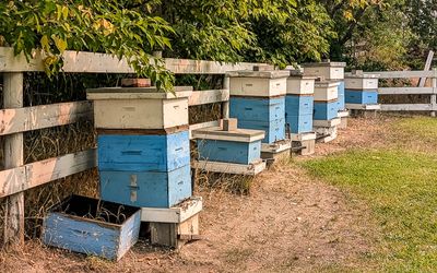 Beehives at Arlos Honey Farm in Lake Country, British Columbia