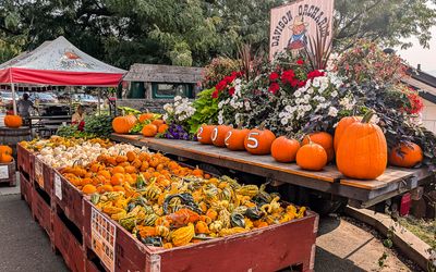 Pumpkin and squash display at Davison Orchards in Vernon, British Columbia