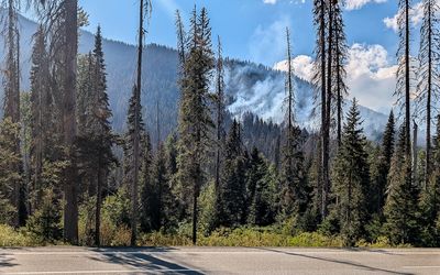 Forest fire burning in Sunshine Valley near Hope, British Columbia