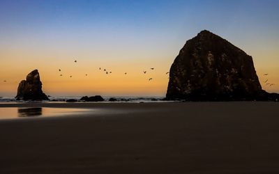 Seagulls fly past Haystack Rock and the Needles just before sunrise on Cannon Beach