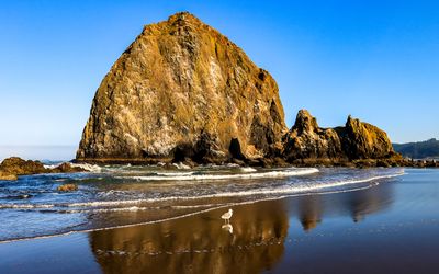 A seagull stands on the reflection of Haystack Rock as the surf comes in on Cannon Beach