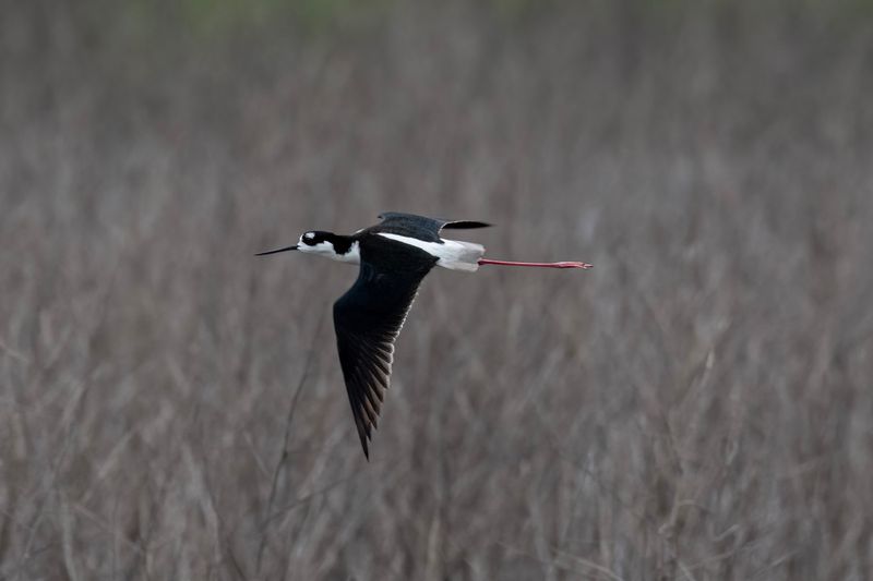 DSC_6707.jpg