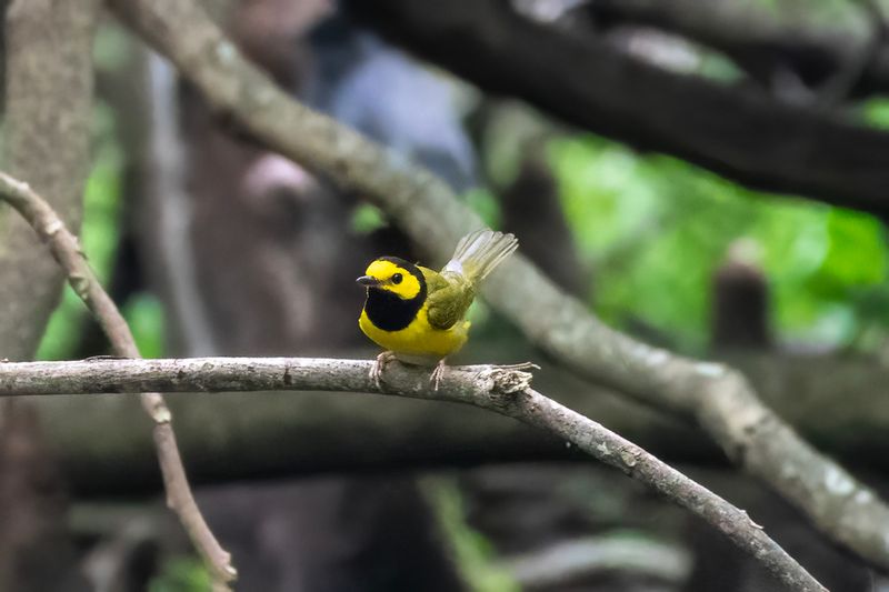 DSC_6846.jpg