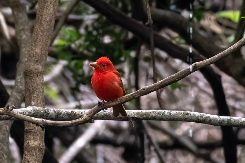 DSC_6863.jpg