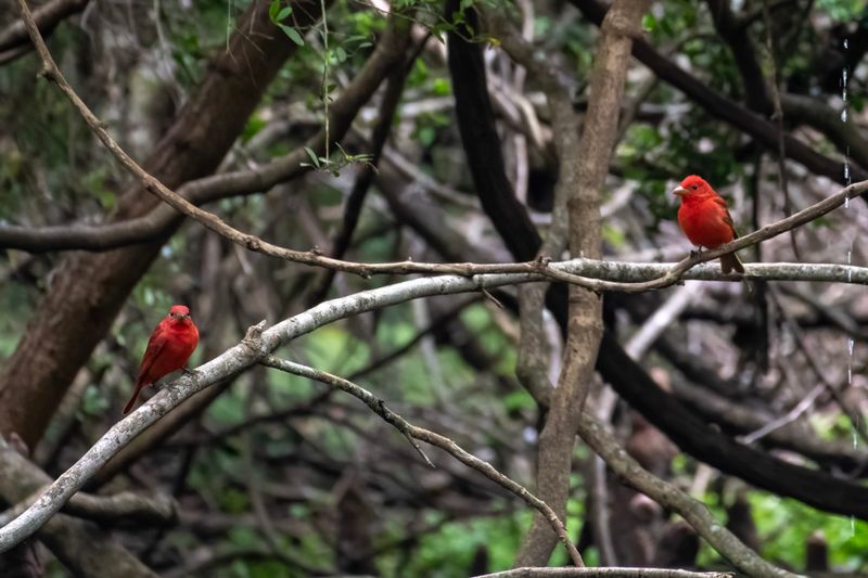 DSC_6872.jpg