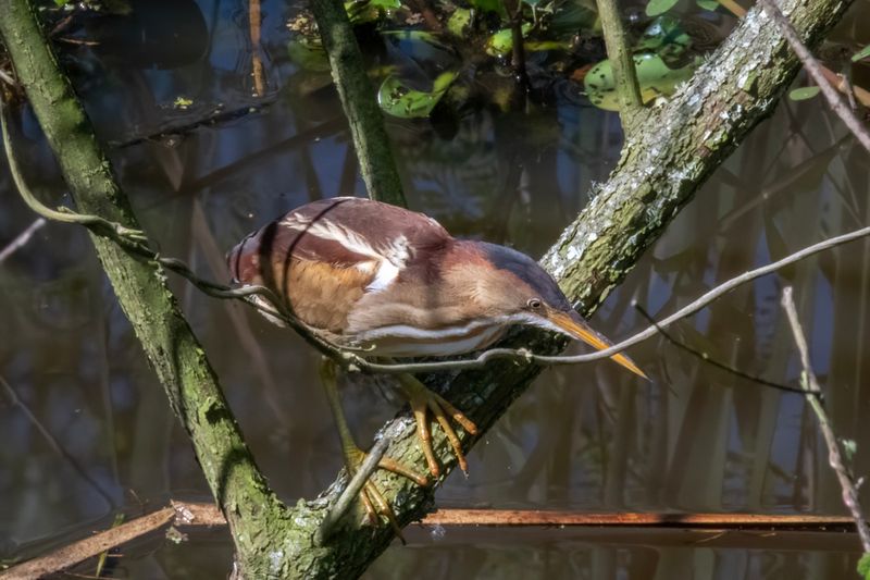 DSC_6889.jpg