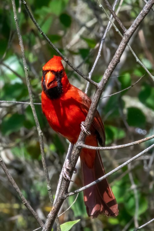 DSC_6944.jpg