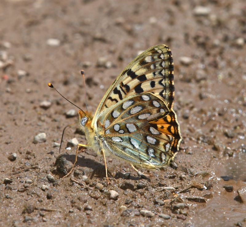 KDB_1370.JPG