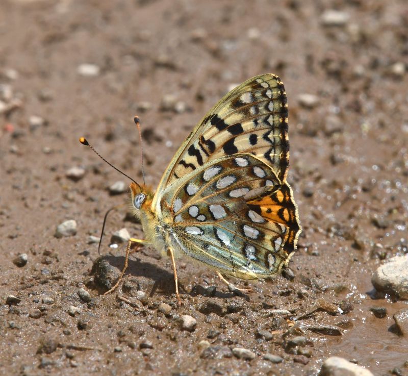KDB_1370.JPG