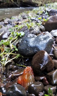 My Stones