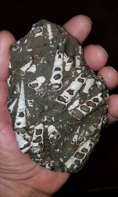 My Stones