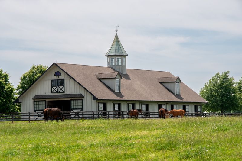 Kentucky Countryside_05.jpg