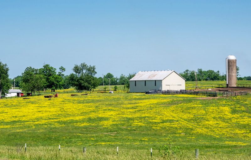 Kentucky Countryside_23.jpg