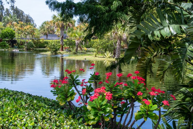South Florida 2023