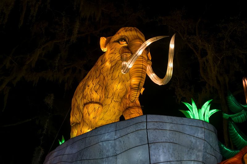 Lantern Fest 2023
