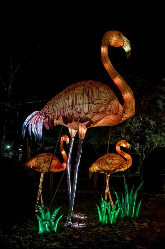 Lantern Fest 2023