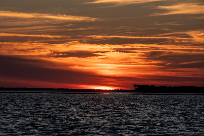 Edisto Island 12/2024