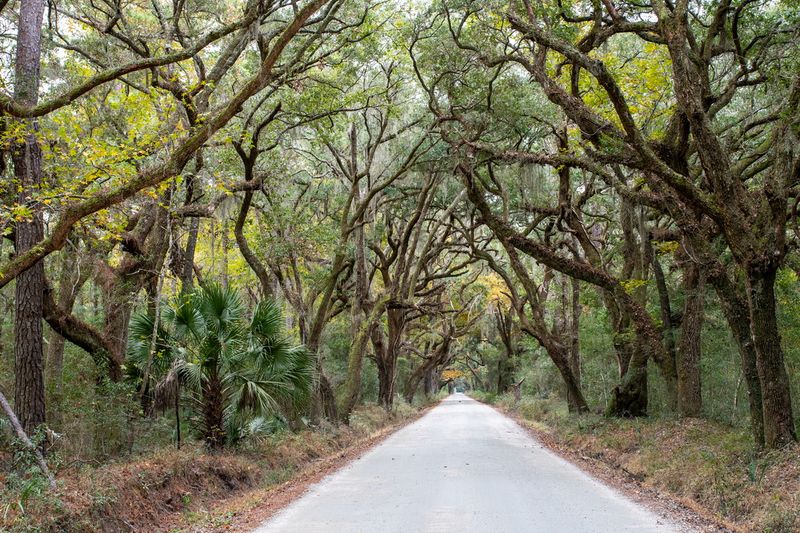 Edisto Island 12/2024