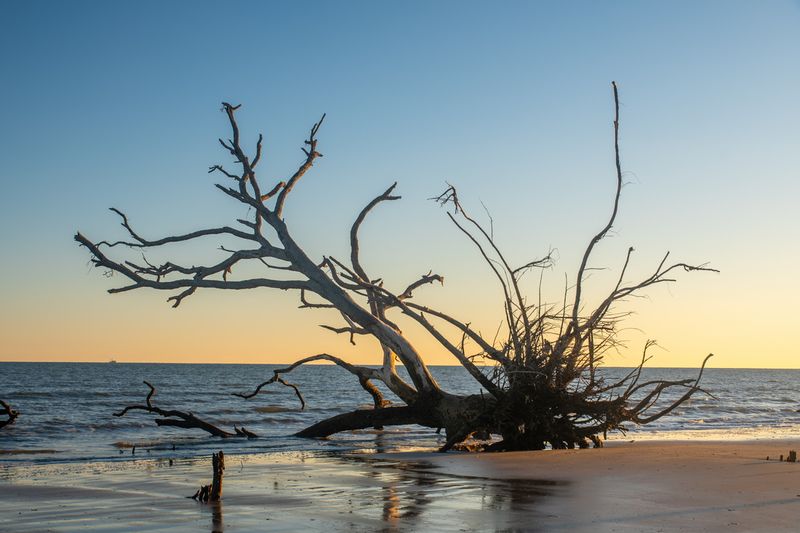 Botany Bay 2024