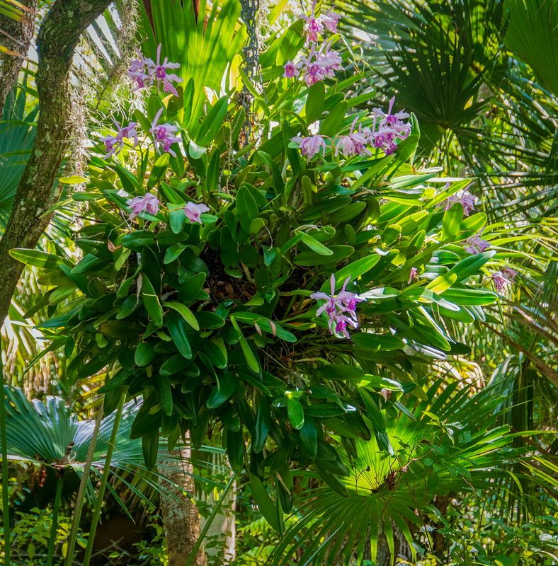 McKee Gardens-13.jpg