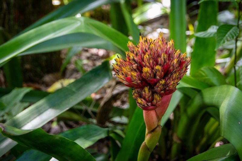 McKee Gardens-6.jpg